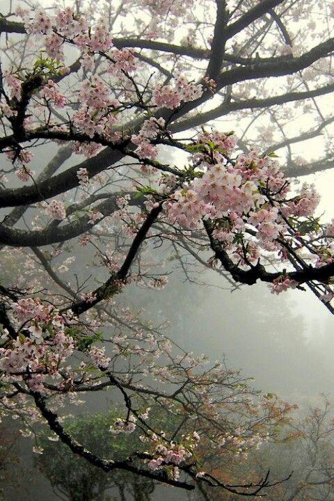 Eternal Embrace of Floral Grace